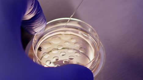 científico trabajando en un laboratorio con una placa de petri