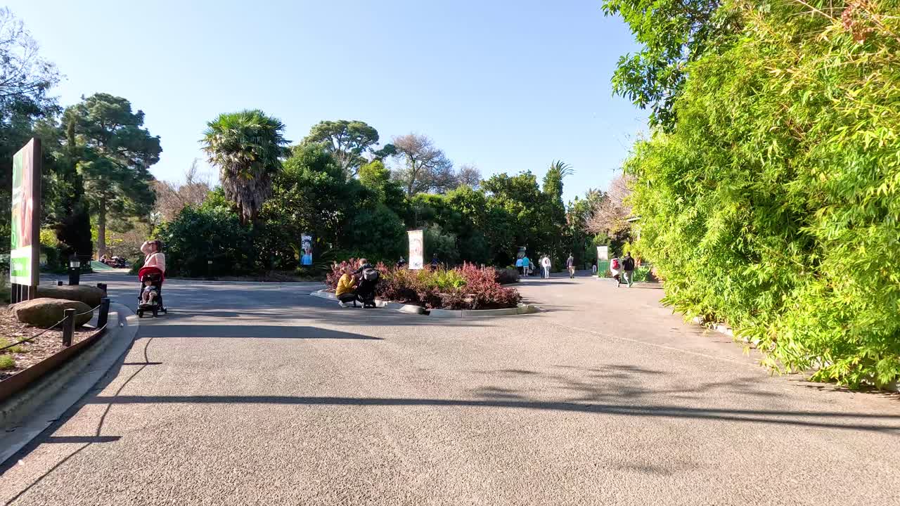 방문객 들 은 동물원 에서 빛 을 즐기는 날