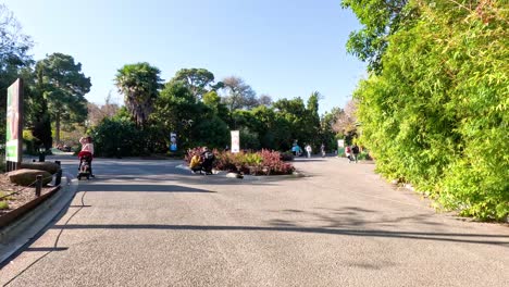 los visitantes disfrutan de un día soleado en el zoológico.