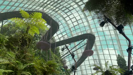 wide shot panning forest gardens by the bay singapore