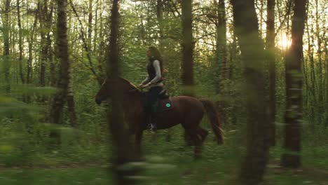 young girl riding horse in forest