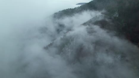 drone-aerial,-Misty-forest-autumn-after-rain