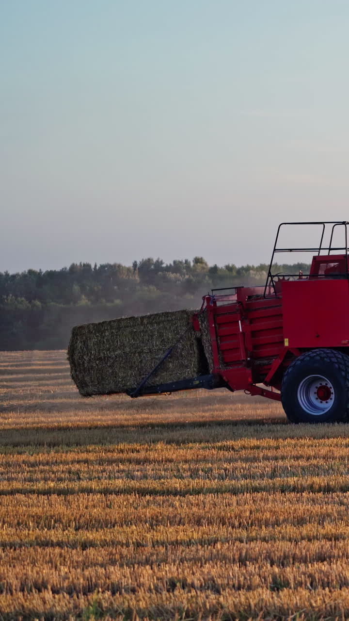 Harvesting dry grass. Agricultural works in the field. Tractor is pressing hay into square bale on the natural yellow field background. Vertical video