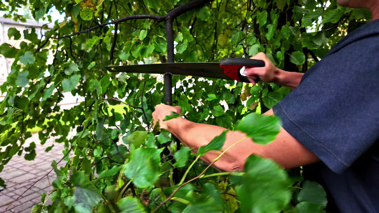 그의 뒷마당에서 강철 드사 자르는 기계로 나무 가지를 잘라내는 사람의 얼굴 비디오가 없습니다.