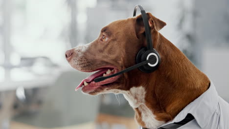 dog in a call center