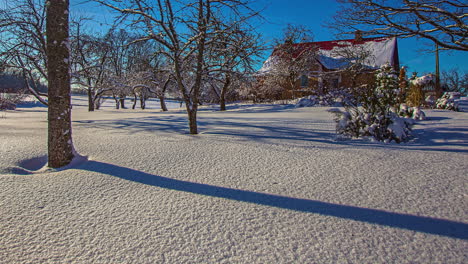 Local-orchard-covered-in-thick-untouched-snow-layer,-sun-moving-time-lapse