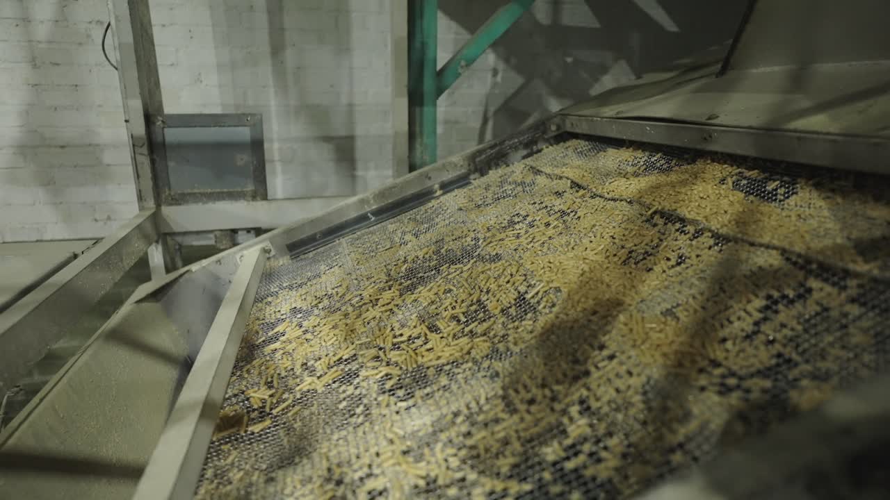 Working view of an industrial conveyor belt sifting harvested wood chips falling into a storage place.