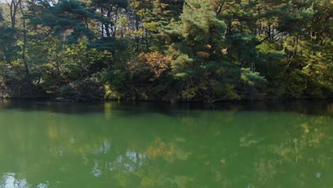 a clean forest reflecting on clear green waters.