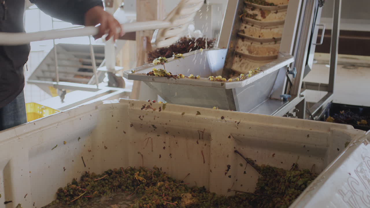 Attrezzatura di lavoro di una piccola cantina a conduzione familiare.