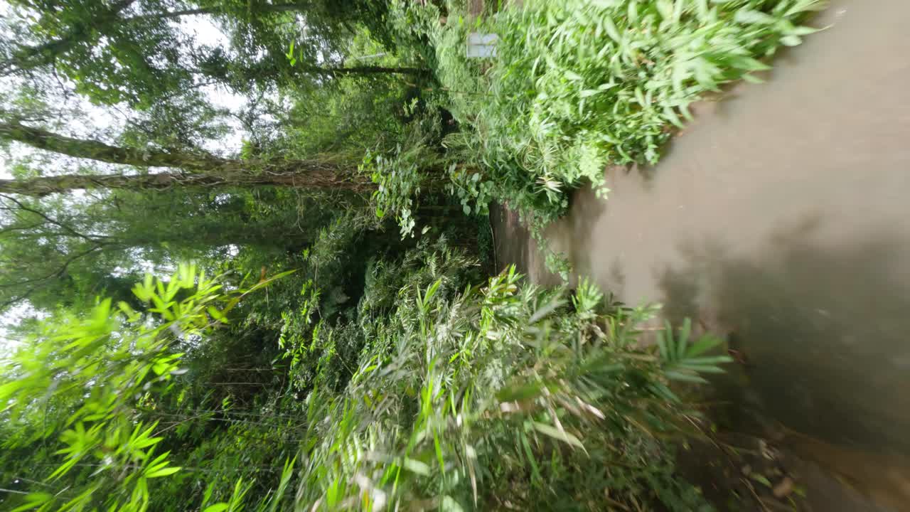 tiro vertical de drones fpv entre la jungla de bali donde una mujer se relaja en la naturaleza