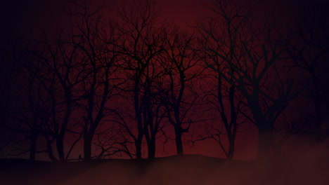 dark mystical forest in night in red blood sky
