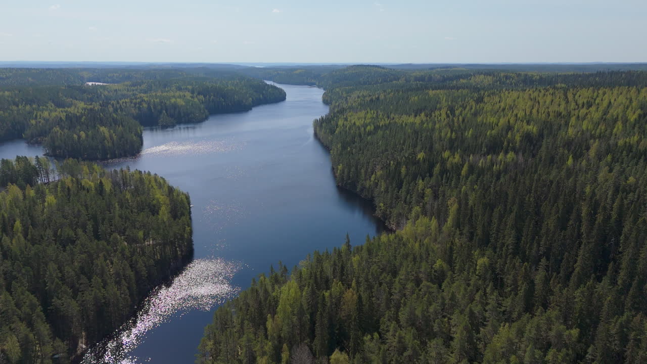 Kuusimetsä ja joki. Lento Helvetinjärven kansallispuistossa Suomessa. Dronekuvaa 4K ProRes.