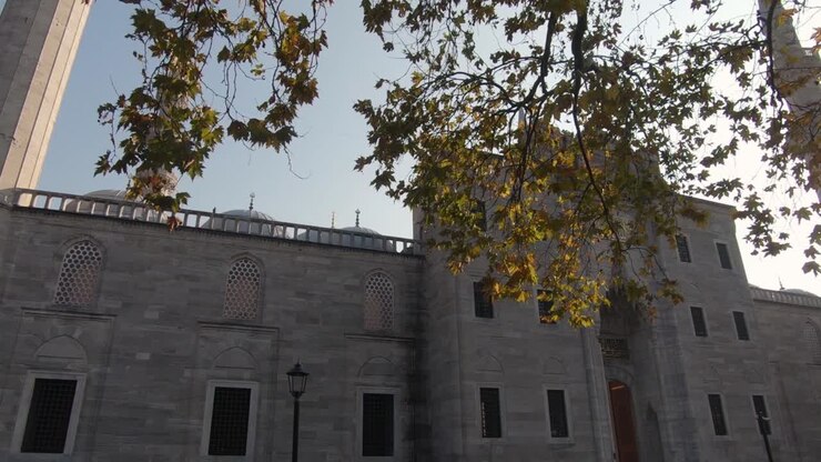 Movimento di tracking attraverso gli alberi che rivela la celebre Moschea Ottomana di Solimano, Istanbul. Turchia.
