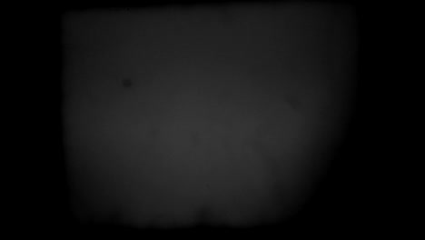 het effect van de oude film overlay op het frame met lange haren 4k
