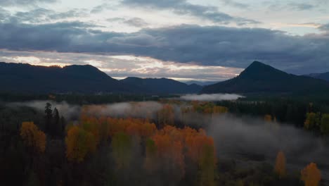 vuelo tranquilo sobre árboles verdes, amarillos y naranjas cubiertos por la niebla matutina en el estado de washington