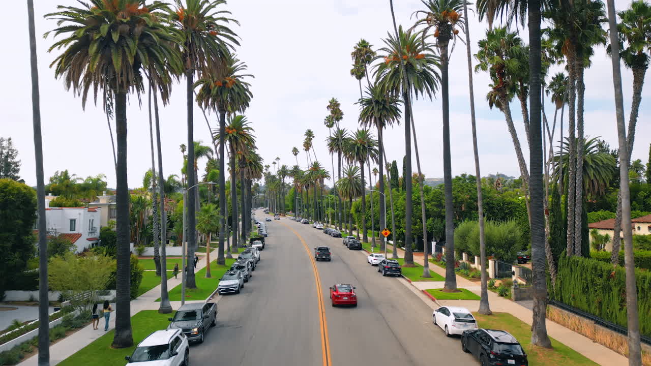 Los Angeles, USA, 29 agosto 2025: mezzi di trasporto e auto parcheggiate lungo la strada, delimitata da palme. Strada a Los Angeles, California, USA