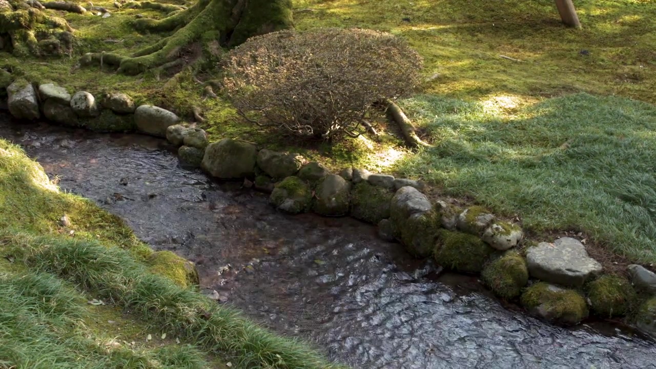 Static high-angle shot of water flowing through a mossy rock-lined stream in a serene park.