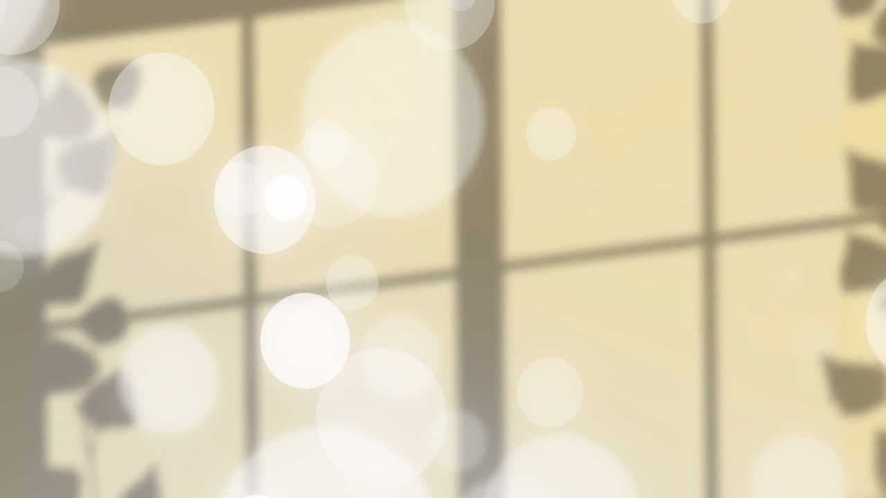 Soft focus interior showing blurred window grid shade, animated bokeh lights drifting around leaves