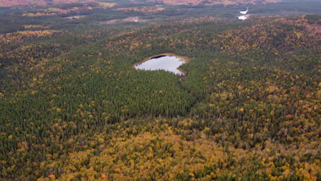 Drone-shot-over-trees-in-fall