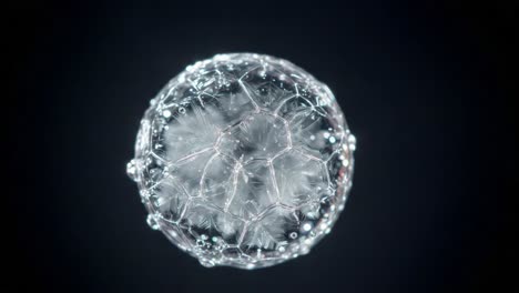 a captivating visualization of a transparent sphere with intricate hexagonal structures and tiny bubbles, highlighting the beauty of microscopic forms in a dark background