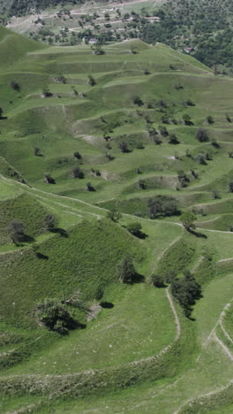 rolling hills and terraced fields