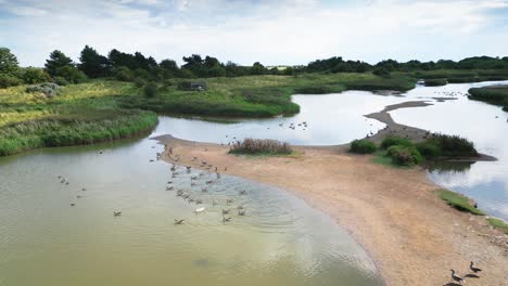 Das-Luftbild-Fängt-Den-Charme-Der-Salzwasser-Marschgebiete-An-Der-Küste-Von-Lincolnshire-Ein,-Mit-Seevögeln,-Die-Sowohl-Fliegen-Als-Auch-In-Den-Lagunen-Und-Binnenseen-Rasten