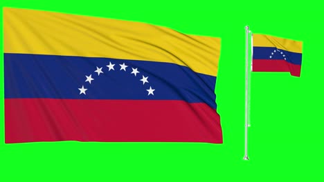 Pantalla-Verde-Que-Agita-La-Bandera-O-El-Asta-De-Venezuela