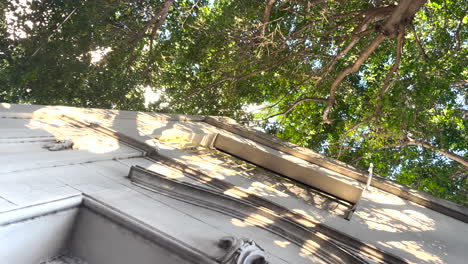 bottom-up view of the corner of the house, trees, summer