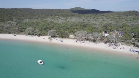 澳洲昆士蘭州中部的摩<unk>座海岸的大凱佩爾島 (great keppel island) 的度假村住宿和茂密的樹木