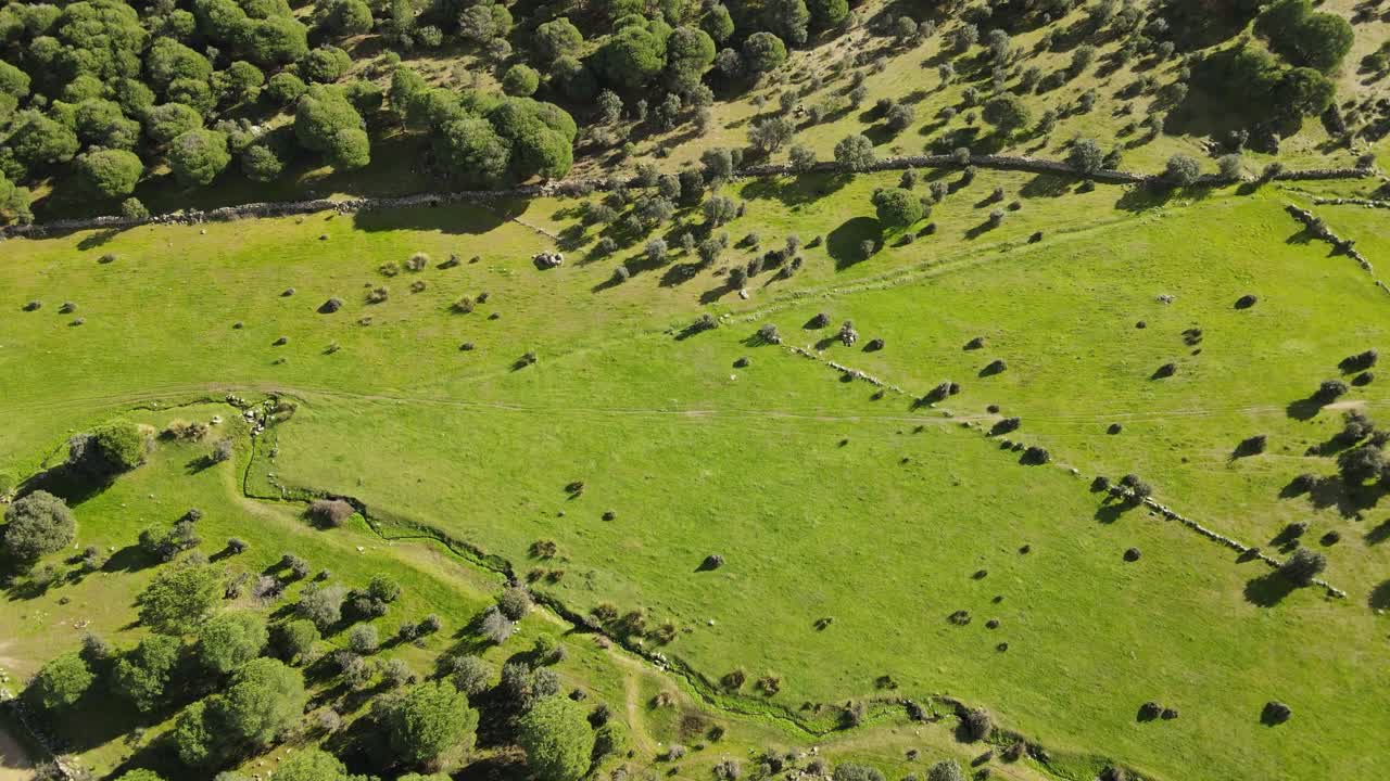 Volo sopra un campo con i suoi prati verdi, il corso di un ruscello e un sentiero. Vediamo muri in pietra che separano le fattorie e arriviamo a una fattoria con un gran numero di alberi ad Avila, Spagna.