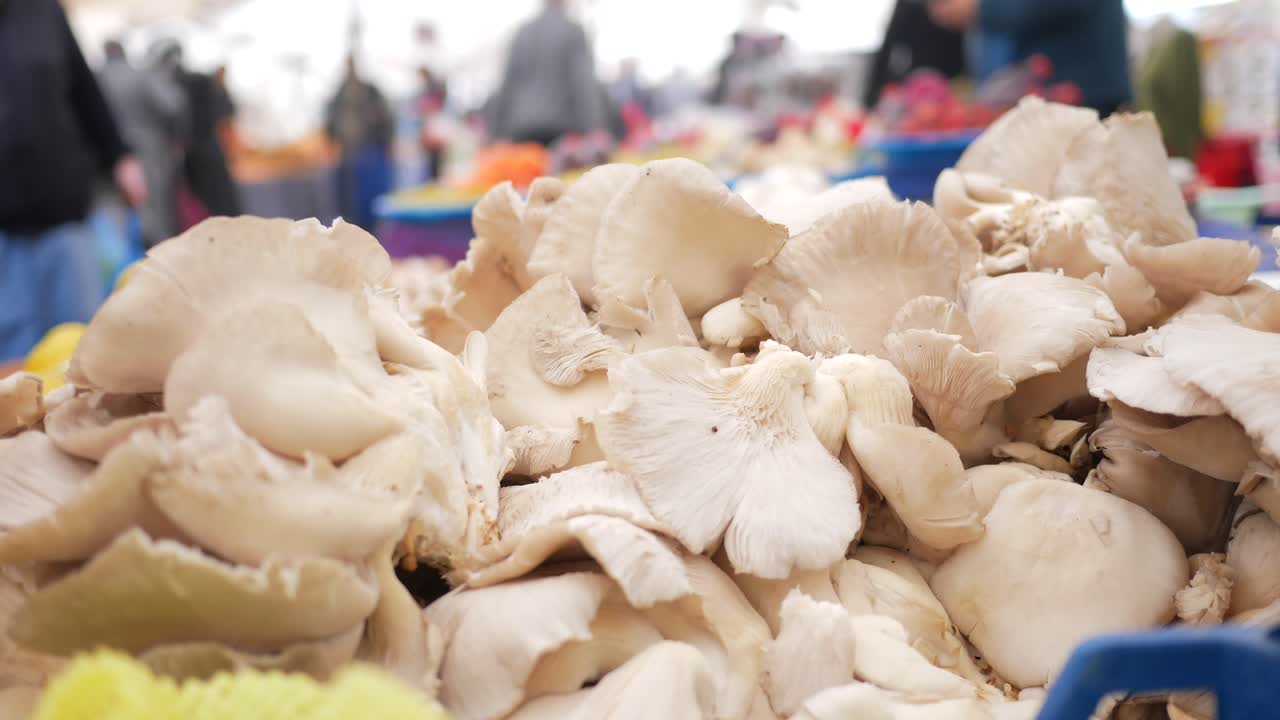 농부 시장에서 판매하는 신선한 오스트리 버섯