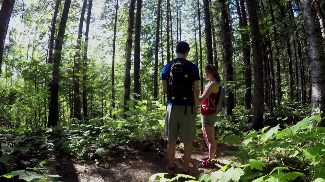 pareja de pie en el bosque 4k