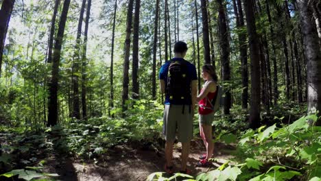 couple standing in the forest 4k