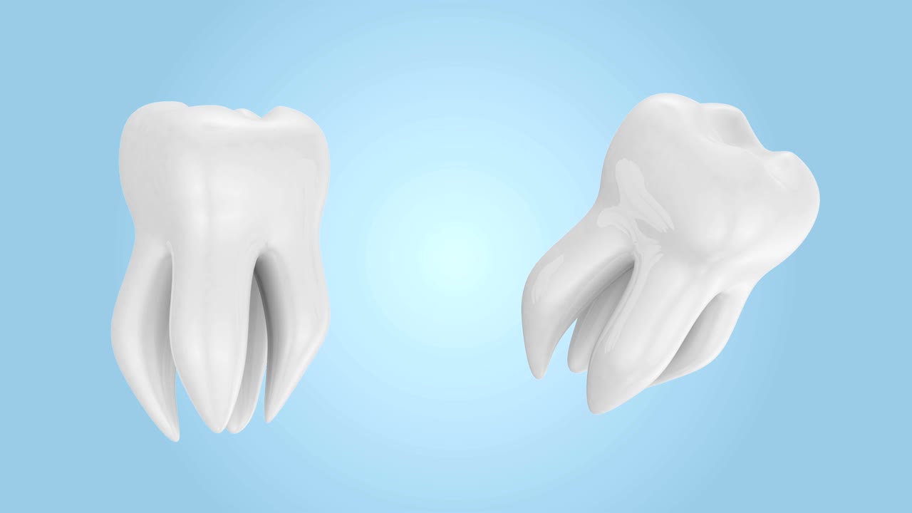 animación de la rotación de los dientes