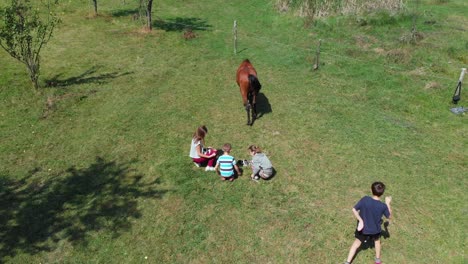 toma panorámica aérea de los niños juegan con gatos pequeños en el campo de hierba junto al caballo y el bosque