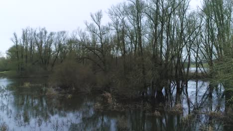 Langsame-Drohnenaufnahme-Einer-Sumpfähnlichen-Natürlichen-Umgebung