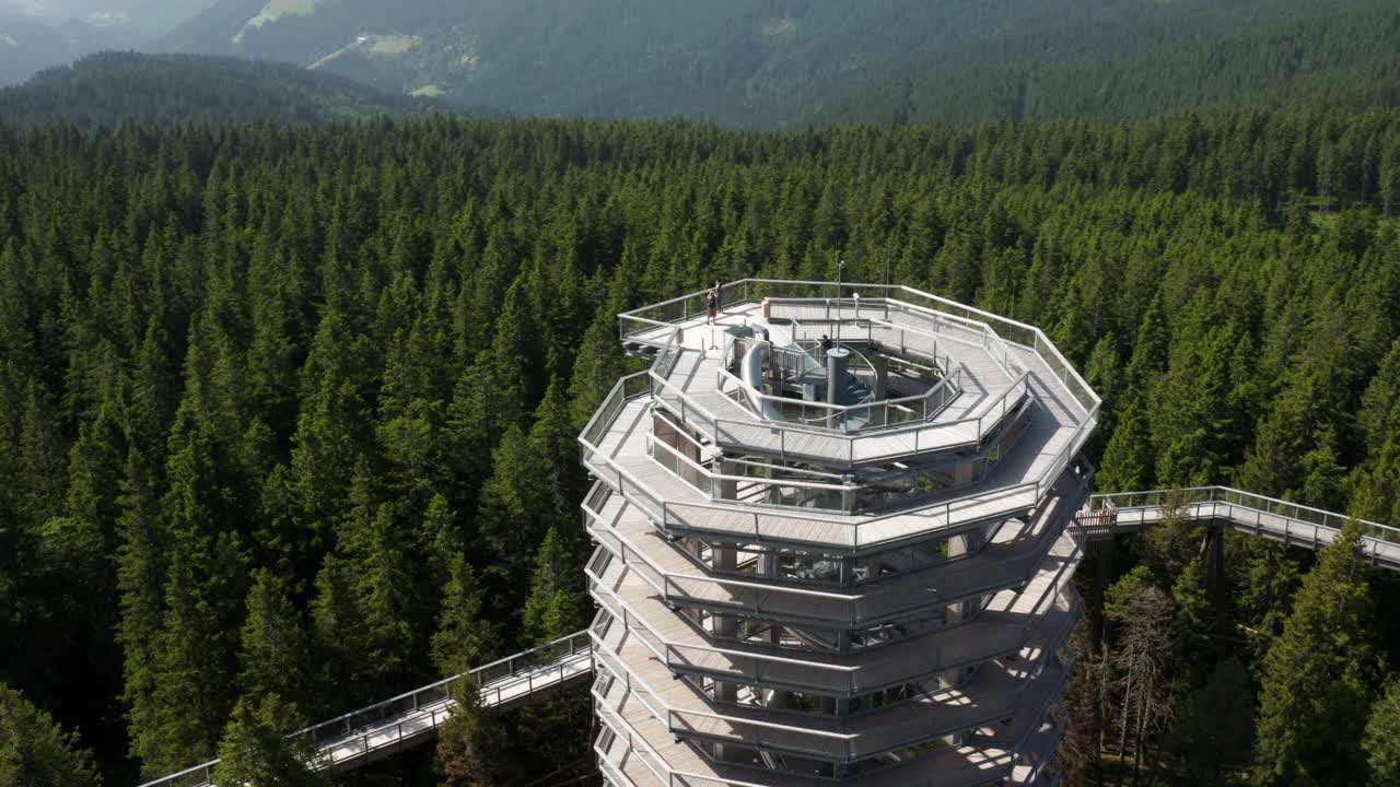 Spiral Wooden Observation Tower in a Forest