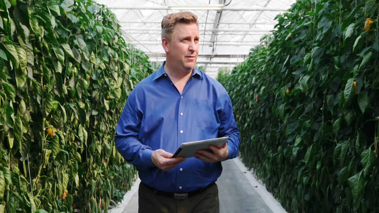 디지털 태블릿을 가진 과학자가 온실 4k에서 식물을 검사합니다.
