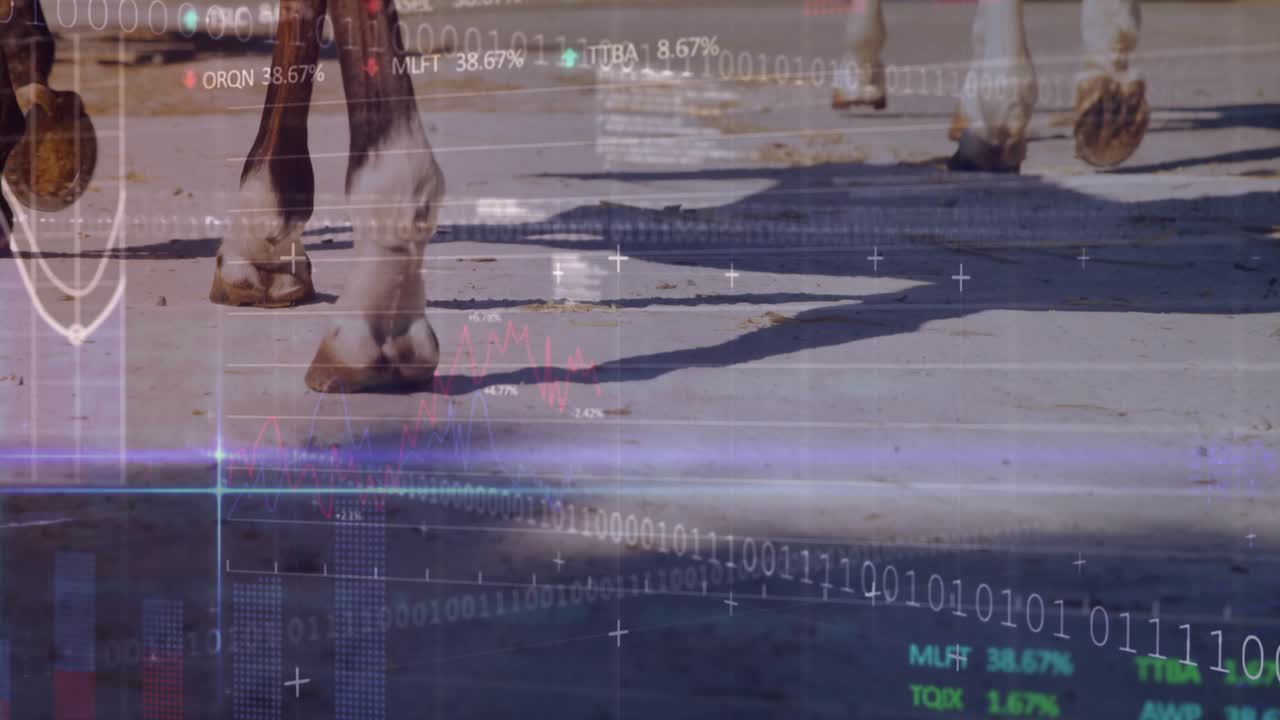 Scrolling binary initiating horse hooves trotting across sunlit pavement visualizing market trends