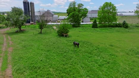 Aerial shot of a picturesque Amish farm with horses grazing, in rural Pennsylvania with green fields and blue sky atmospheric lighting captivating scenes vibrant colors rich detail