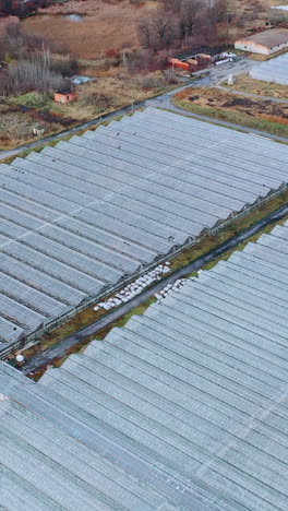 top view of an autumn field with large glass greenhouses. vertical video