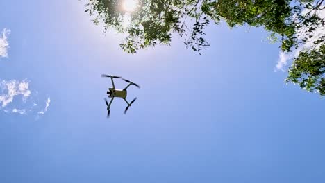 a drone hovers under a bright sun, framed by lush green tree branches and a clear blue sky.