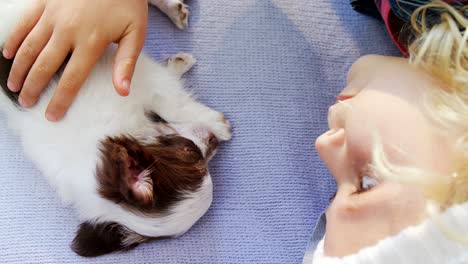 little girl lying on bed stroking her puppy in the bedroom 4k 4k