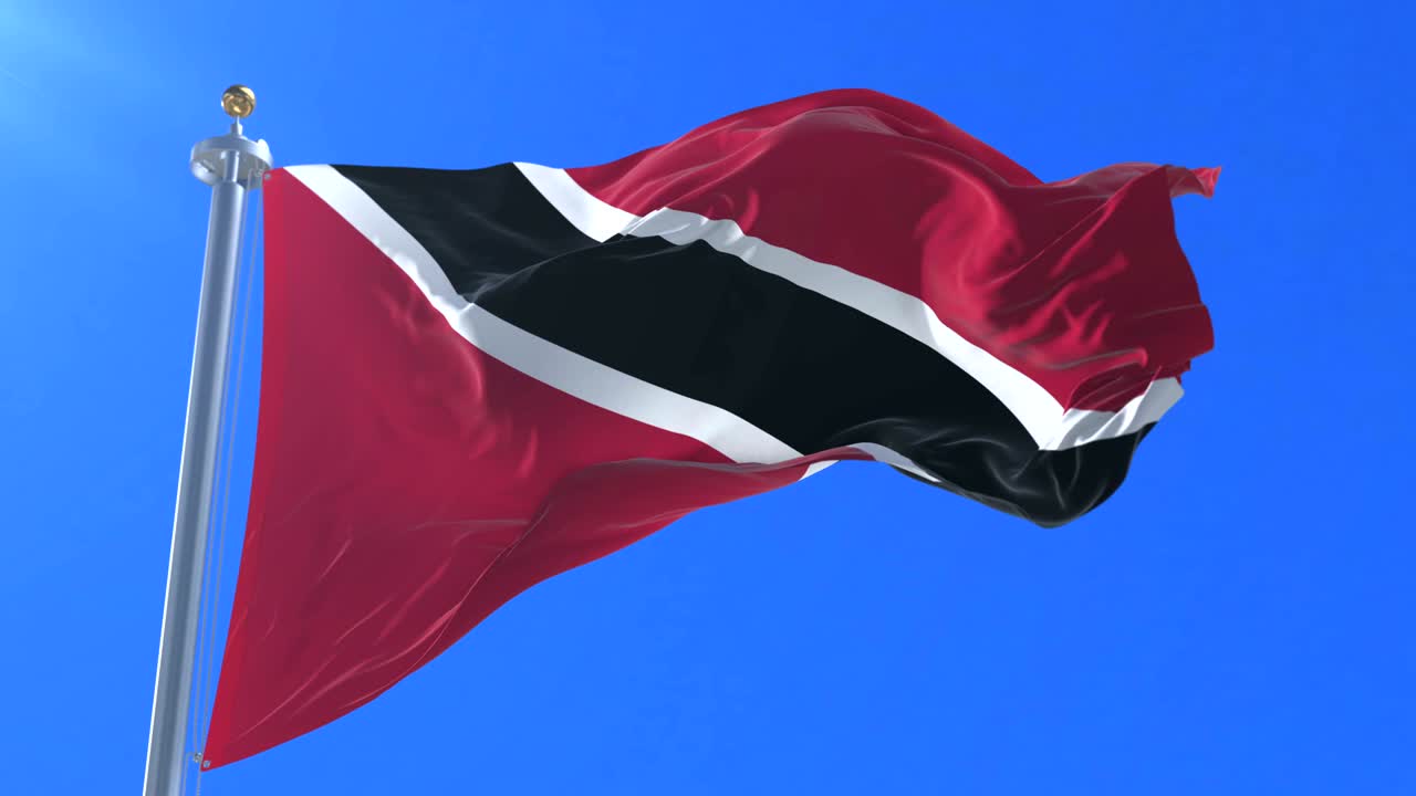 트리니다드 토바고 발은 파란 하늘과 함께 느리게 바람에 흔들리고, 루프