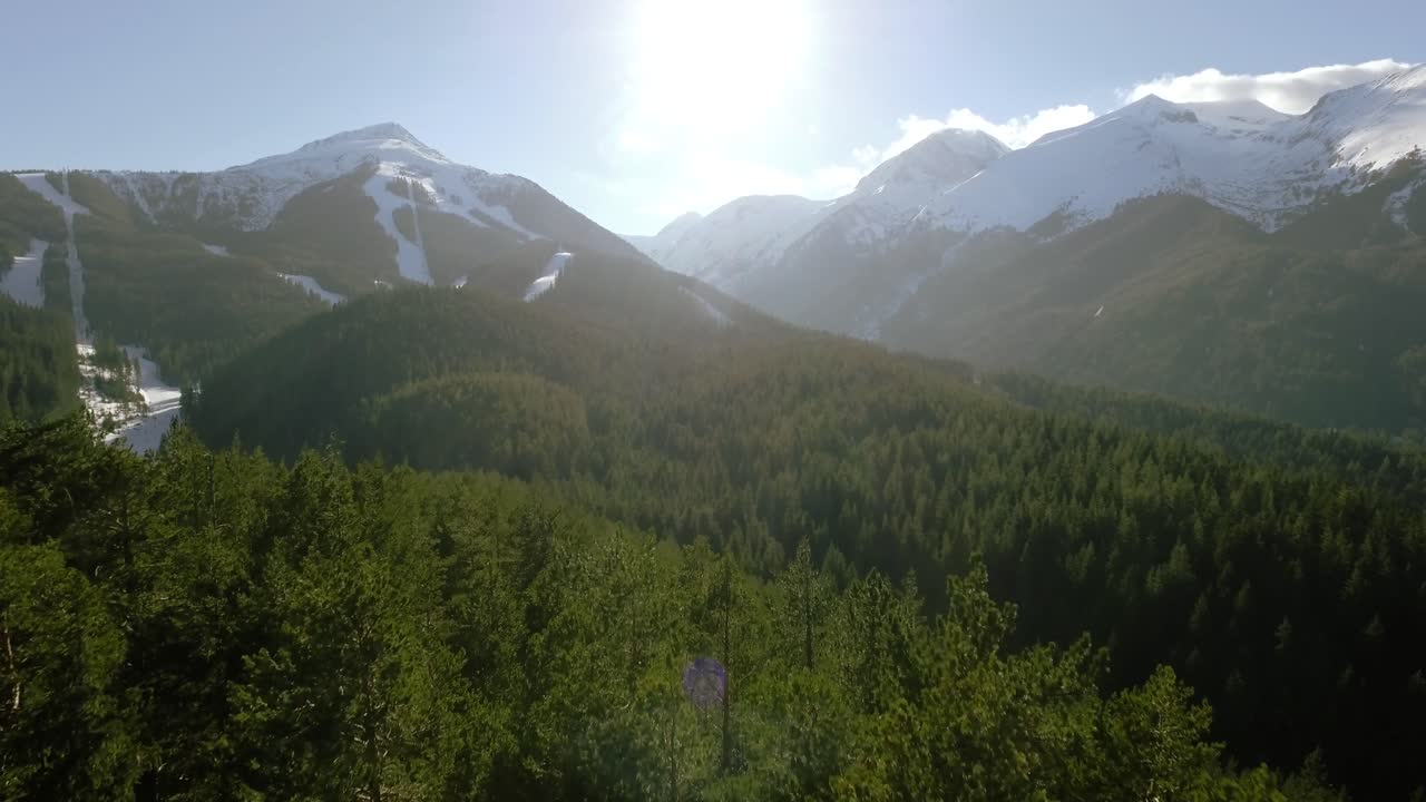 숲과 스키 경로가 있는 겨울 산악 풍경