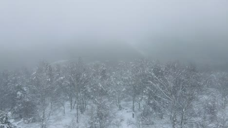 Drone-flying-through-snowy-forests-with-fog-in-pyrenees-mountains-in-France