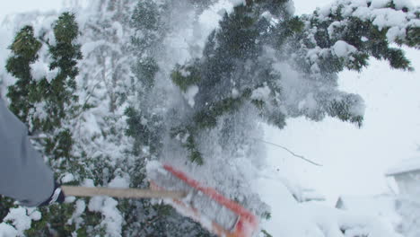 slow-motion-shot-of-freeing-a-tree-of-the-weight-of-snow