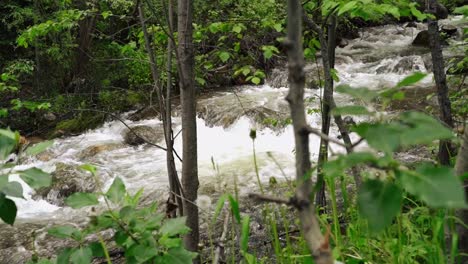 Toma-Deslizante-De-Rápidos-De-Agua-En-Un-Río-Del-Parque-Estes-En-Colorado