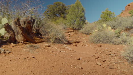 First-Person-View-Walking-along-a-Hiking-Trail-in-Sedona-Arizona-On-a-Sunny-Day