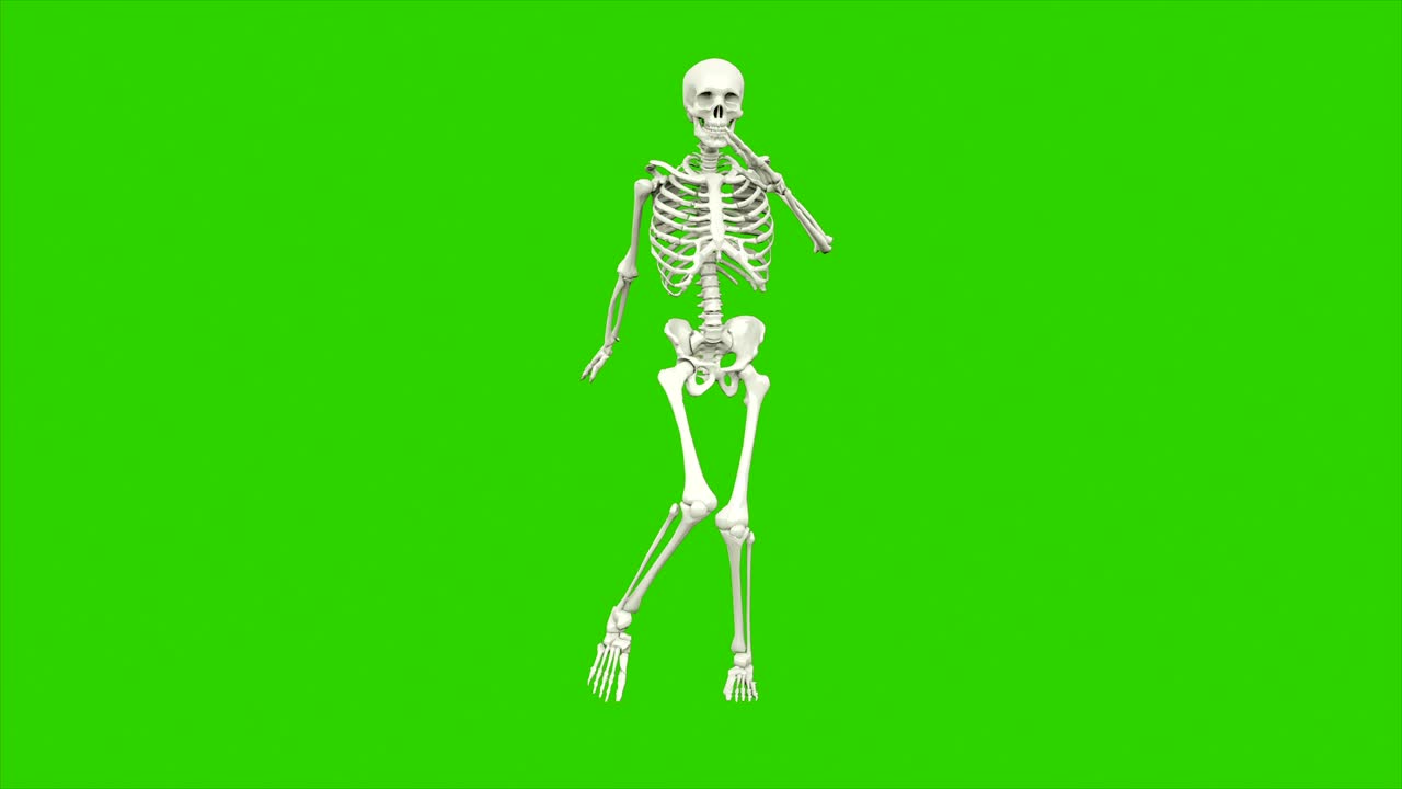 danza dello scheletro. animazione a loop senza soluzione di continuità sullo schermo verde.